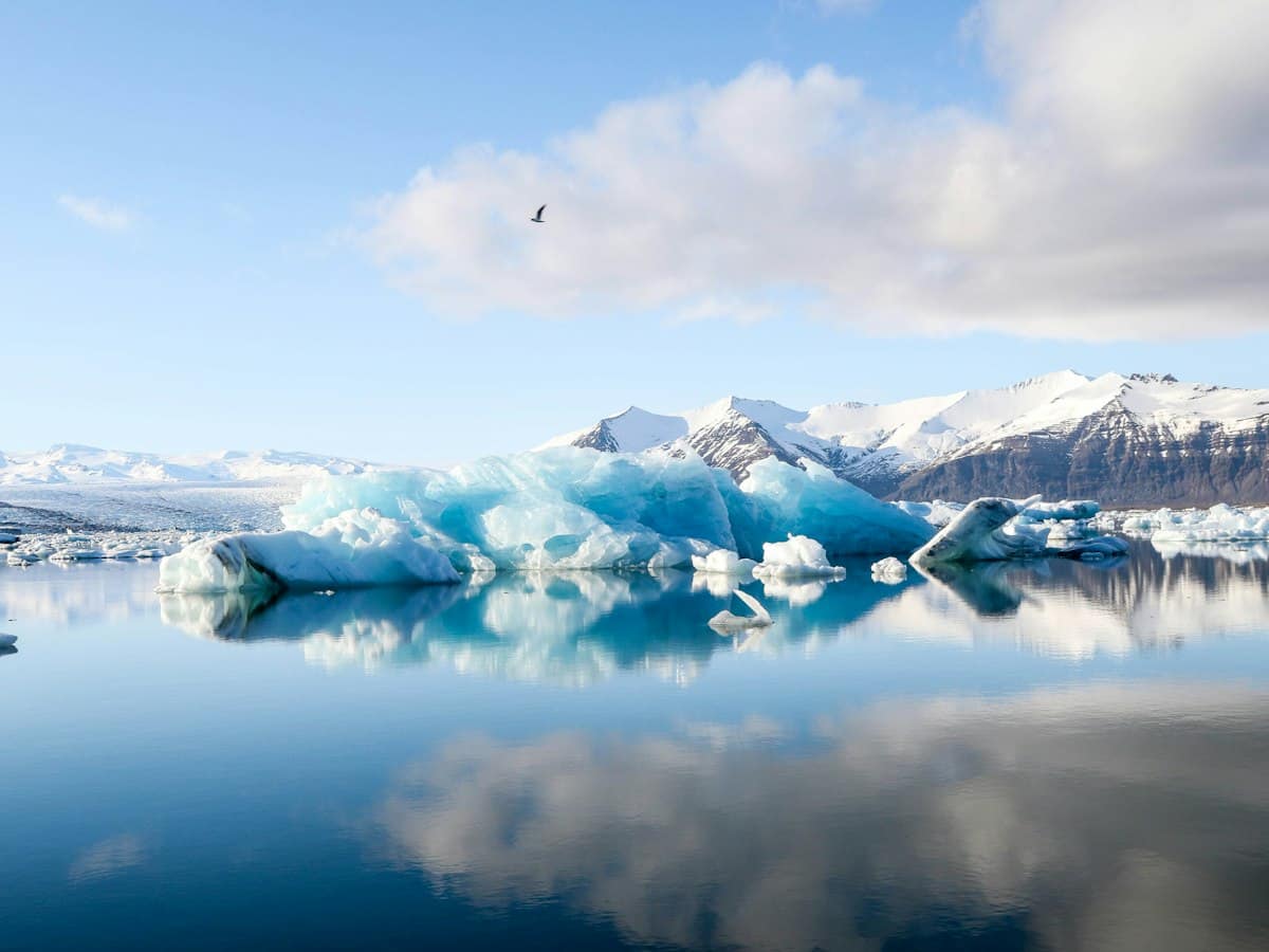 Icebergs on calm water